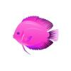 Pink Friendship Discus