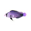 L Purple Splendid Dottyback
