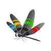 Athletic Streak Dragonfly