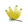 Banana Dragonfly