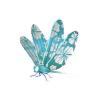 Billabong Dragonfly