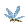 Bumble Dragonfly