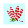 Candycane Wing Dragonfly