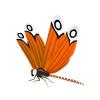 Clownfish Dragonfly