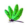 Frankenstein Dragonfly