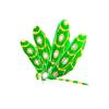 Green Opulent Dragonfly