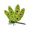 Green Peacock Dragonfly