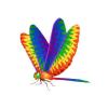 Jagged Dragonfly
