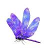 Lavendar Dragonfly