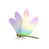 Meadow Dragonfly