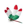 Mexican Dragonfly