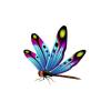 Minds Eye Dragonfly
