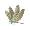 Mummy Dragonfly