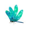 Opal Dragonfly