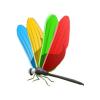 Quincolor Dragonfly