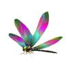 Rainbow Dragonfly