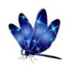 Starlight Dragonfly