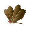 Were Dragonfly