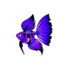 Purple Tiger Dreamfish