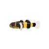 Bumblebee Goby