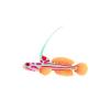 Cerise Goby