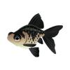 Black Telescope Goldfish