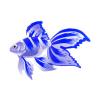 Blue Gilliam Veiltail