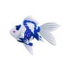 Blue Zebra Goldfish