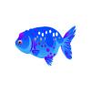 Blueberry Ranchu