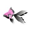 Bubblegum Fantail