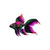 Fire Veiltails