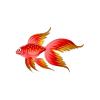 Golden Festive Veiltail