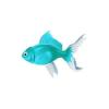 Aquamarine Goldfish