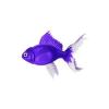 Majorelle Goldfish