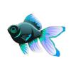 Green Bubbleeye Goldfish