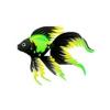 Green Patch Veiltail