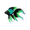 Teal Patch Veiltail