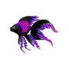 Violet Patch Veiltail