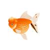 Pearlscale Goldfish