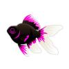 Pink Moors Goldfish