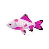 Pink Sarsa Comet