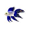 Cobalt Rainbow Veiltail