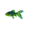 Rainforest Fantail