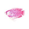 Pink Target Gourami