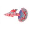 Berry Guppy