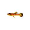 Firestorm Endler Guppy