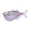 Silver Hatchetfish