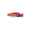 Red Peppermint Hog