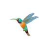 50s Hummingbird