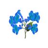 Aqua Trumpet Creeper